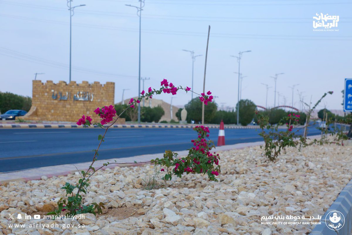 بلدية حوطة بني تميم tweet media