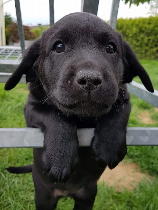 Viviane Fernandes ཐི༏ཋྀ tweet media