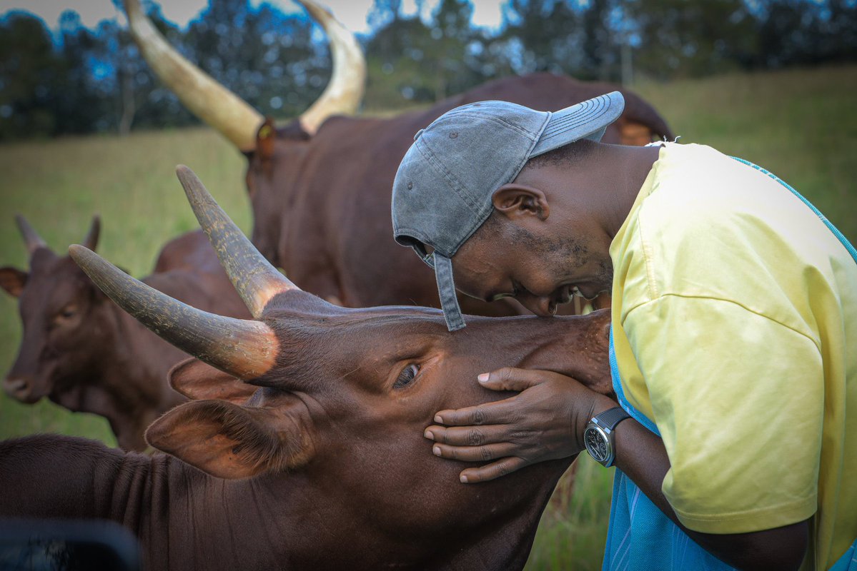 Emburara Farm Lodge tweet media