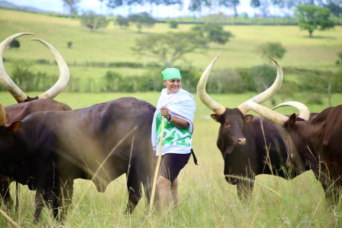 Emburara Farm Lodge tweet media