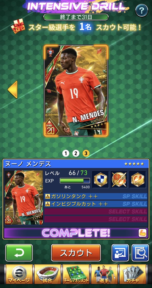 【狼龍】mara tweet media