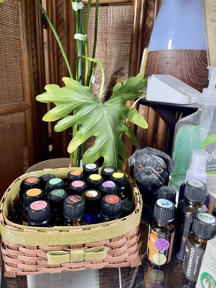 いちご姫 tweet media