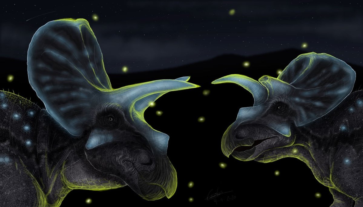 Carlos de Miguel tweet media