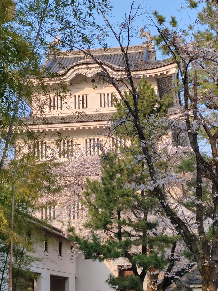 010205_ts's tweet photo. お詣り帰りに寄ってきました https://t.co/NTUv55gSeP
