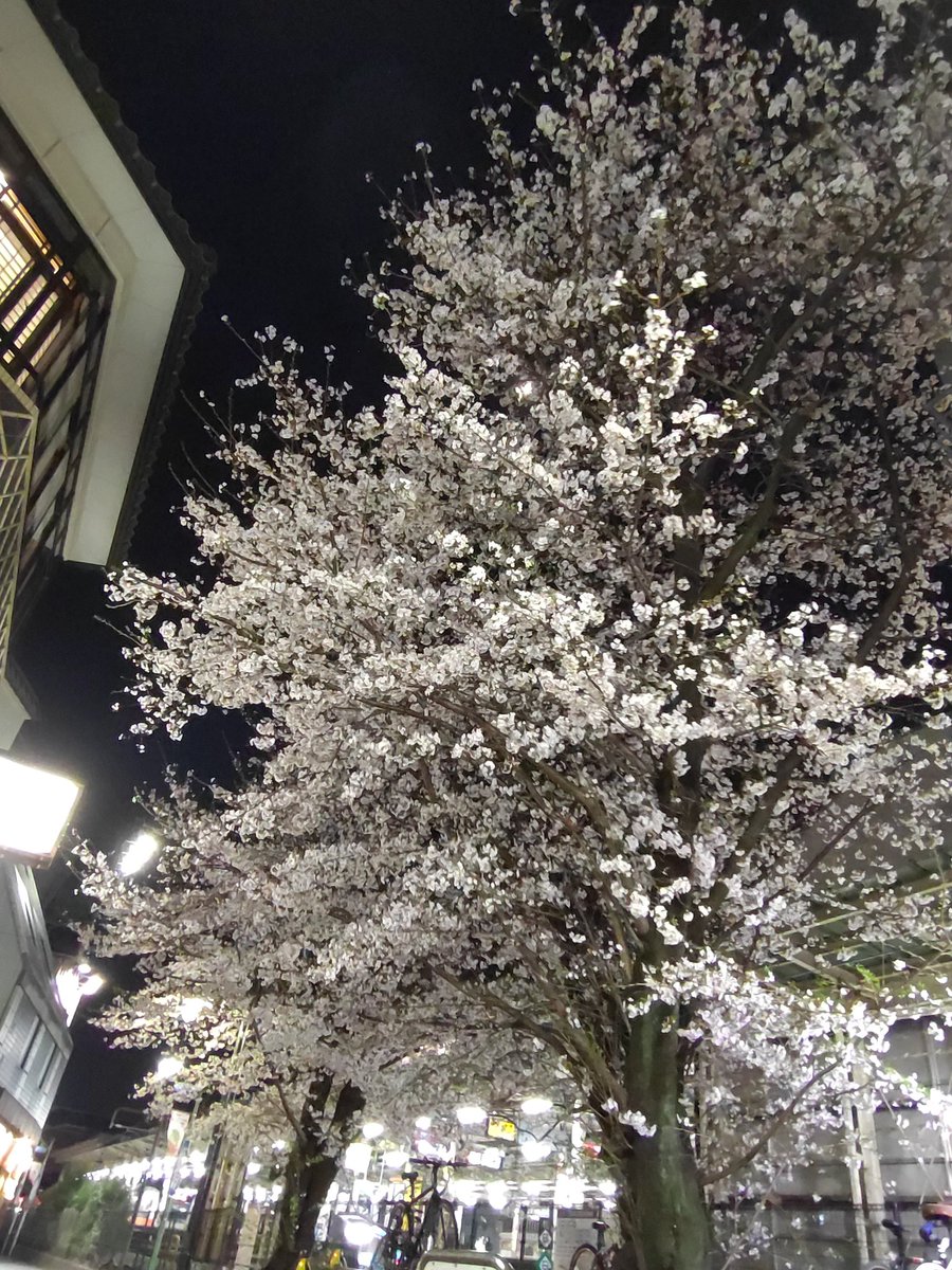 もりみすず tweet media