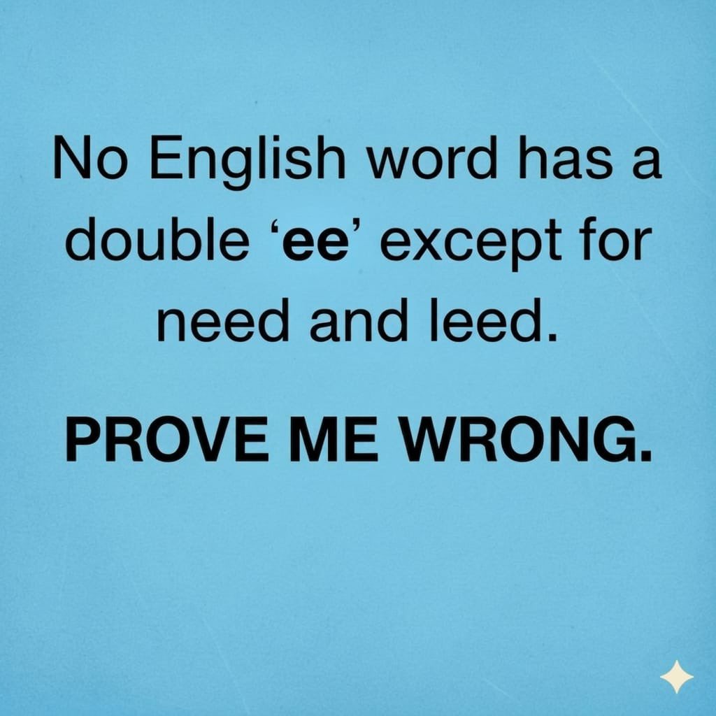 𝚂𝙽 𝖆𝖊𝖘𝖙𝖍𝖊𝖙𝖎𝖈 tweet media