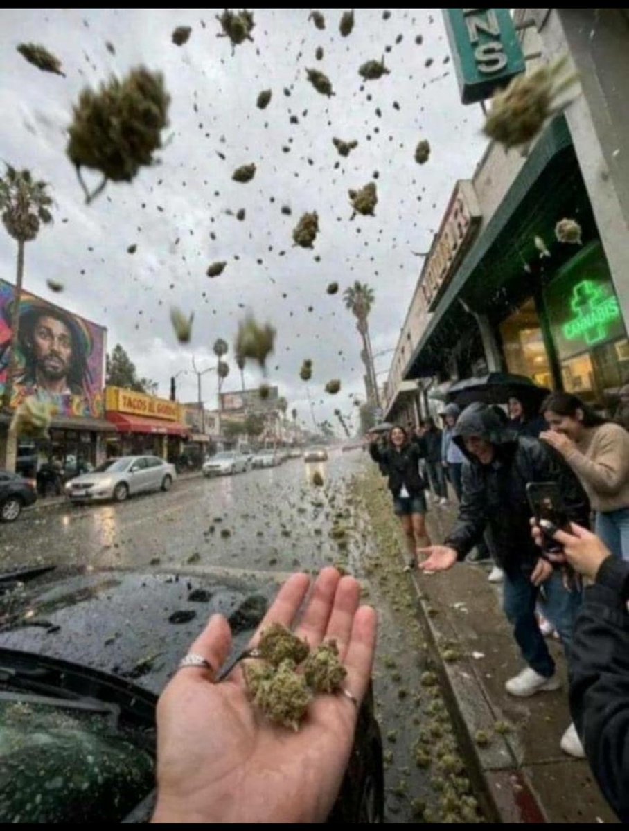 InnerfireHQ tweet media