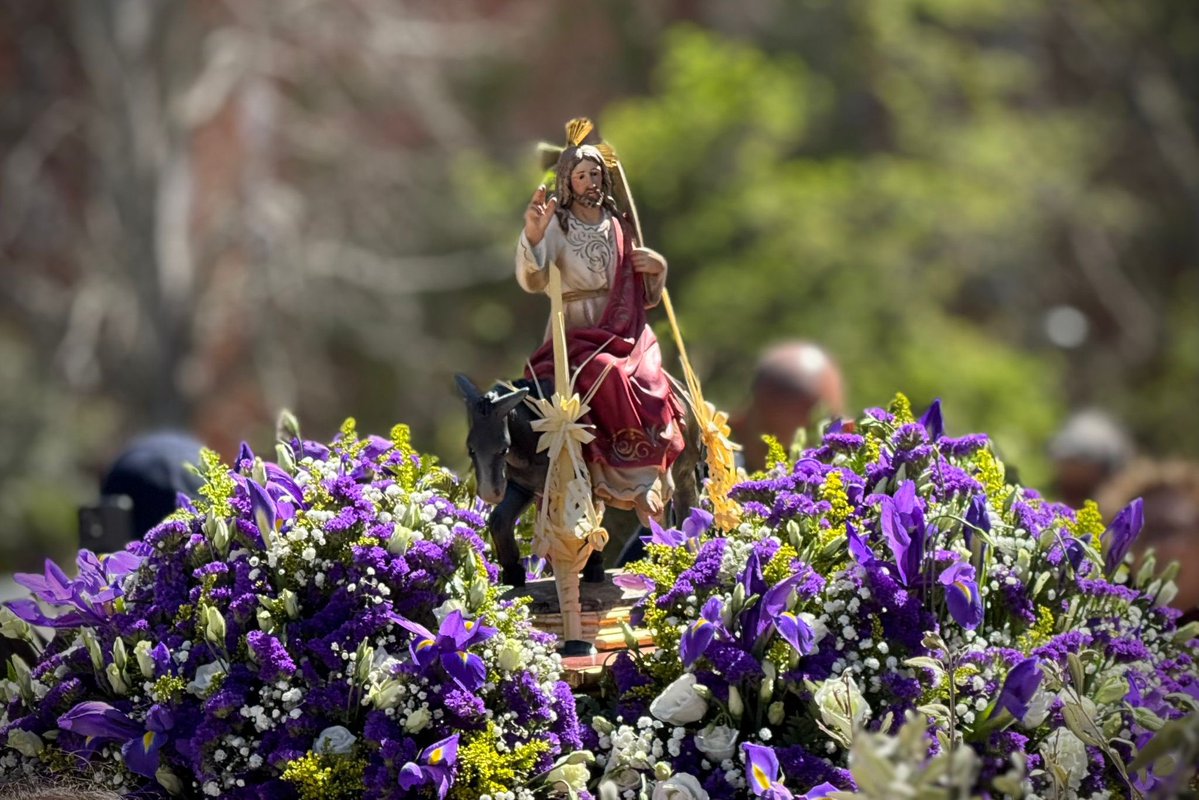 PP Alcorcón tweet media