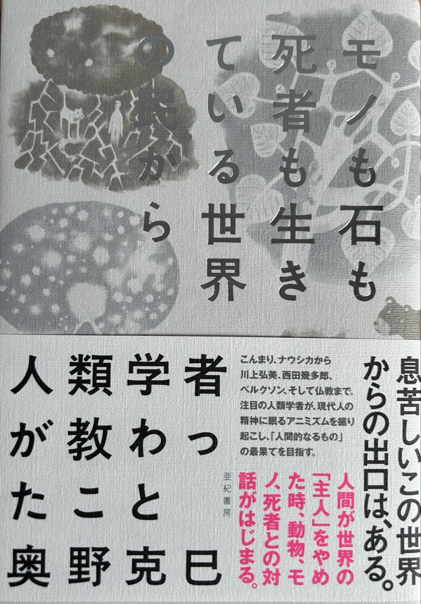 hikari_no_hondana tweet media