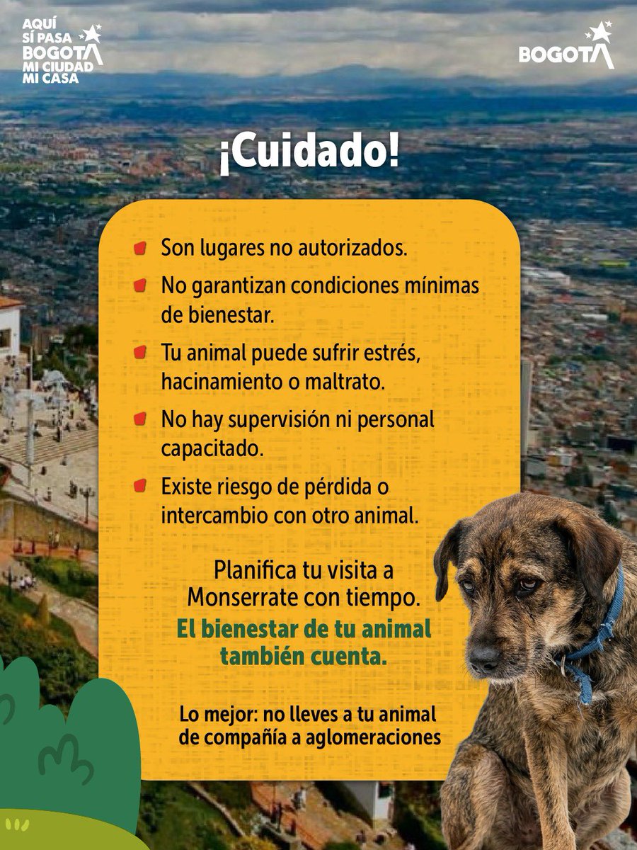 Protección Animal Bogotá tweet media