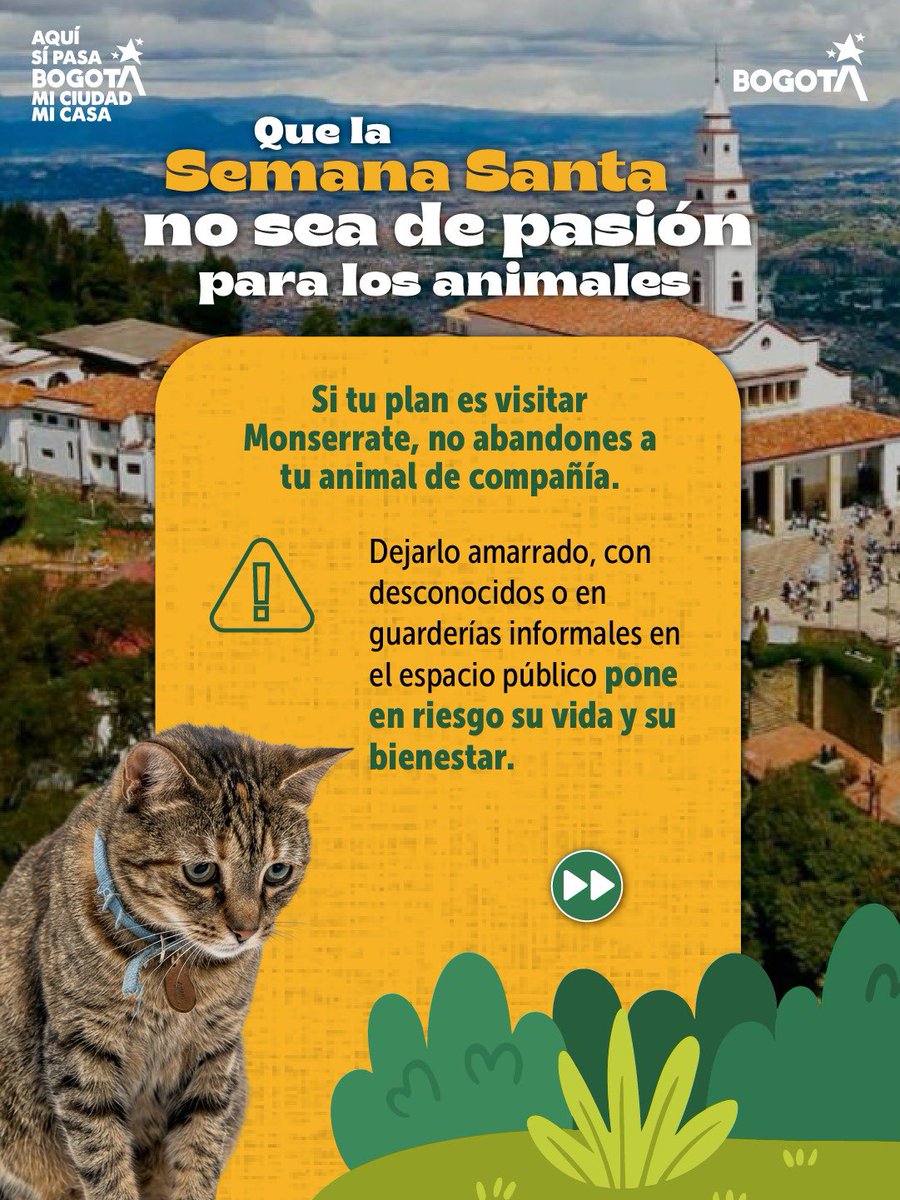 Protección Animal Bogotá tweet media