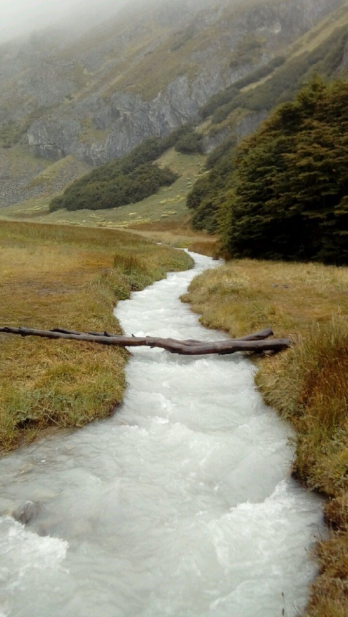 Damian Pablo Ballester tweet media