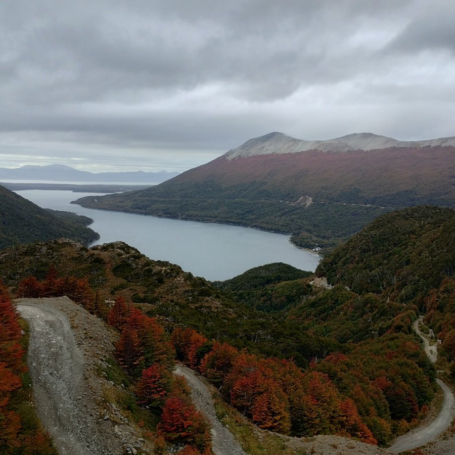 Damian Pablo Ballester tweet media