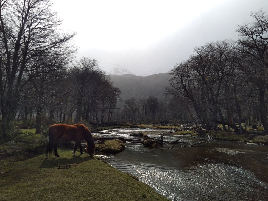 Damian Pablo Ballester tweet media