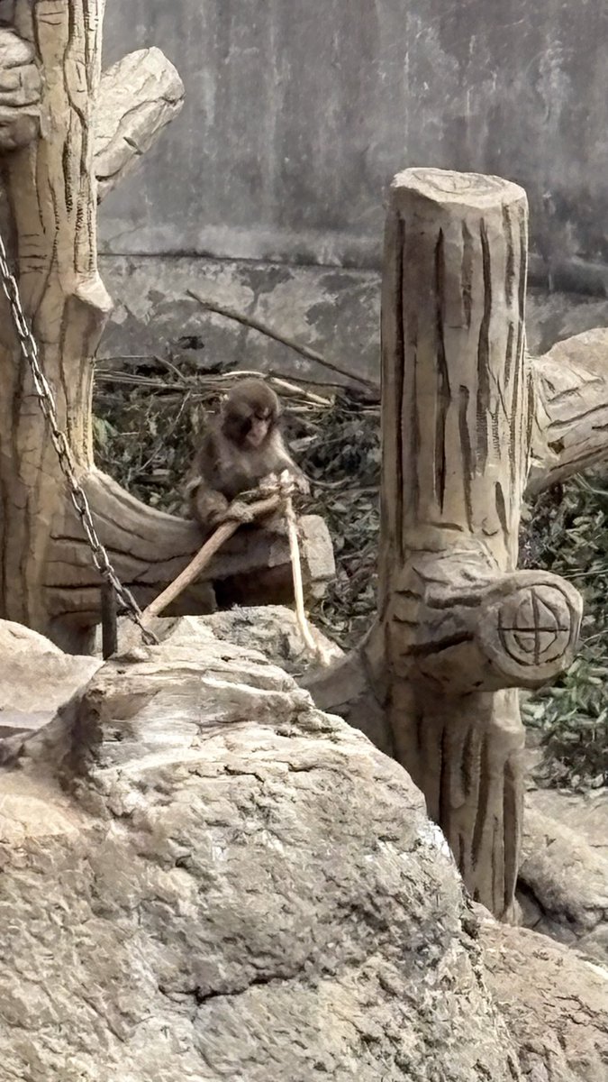 ふなゆき tweet media