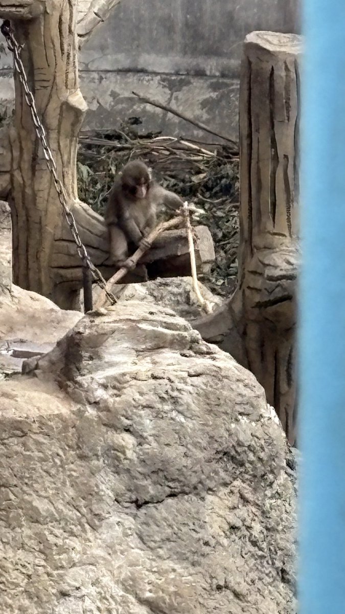 ふなゆき tweet media