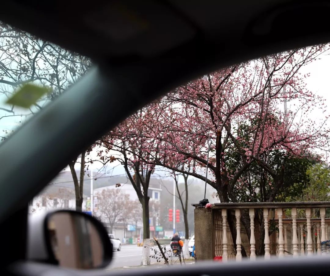 Splashnugget tweet media