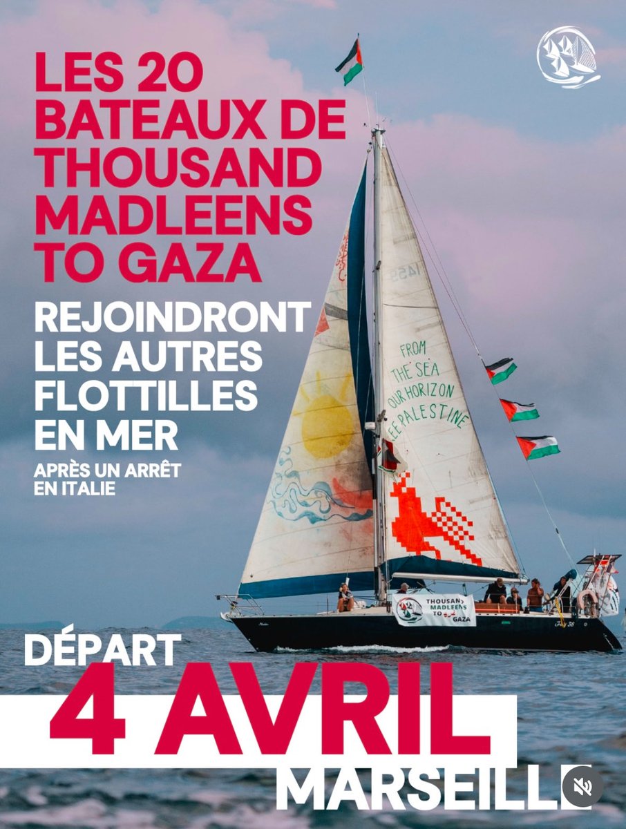 Gabrielle Cathala tweet media