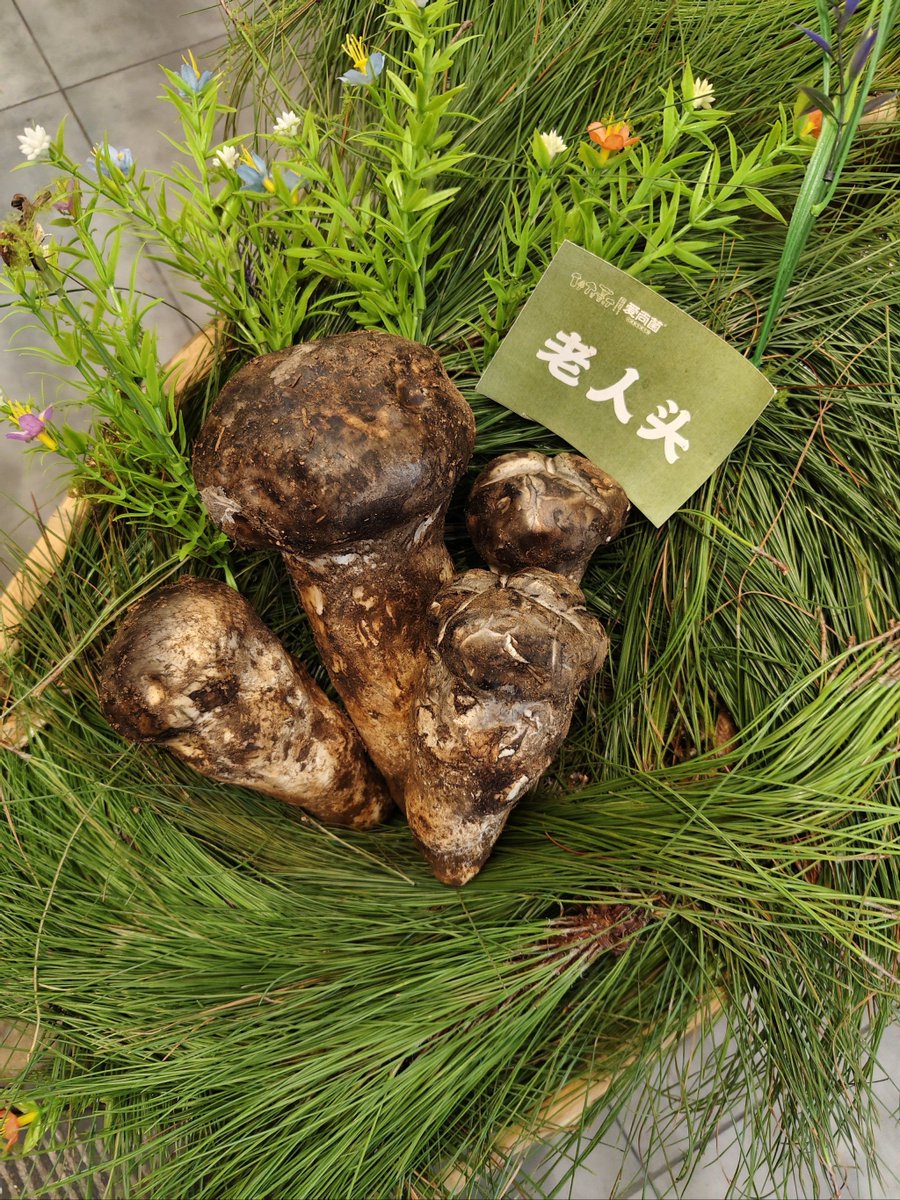 Joanne Jackson tweet media