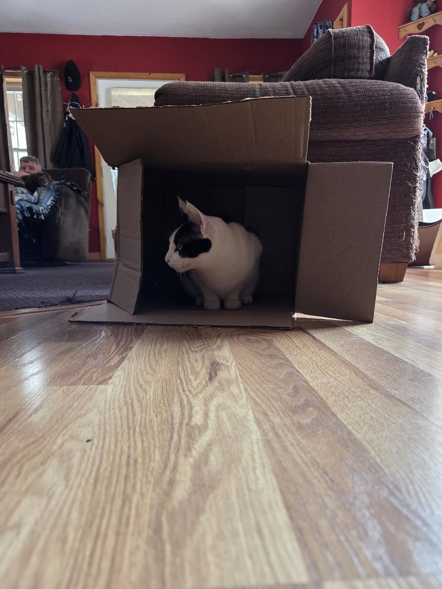 Sprinkles 🐾💞🐾💞 tweet media