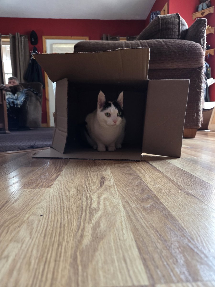 Sprinkles 🐾💞🐾💞 tweet media