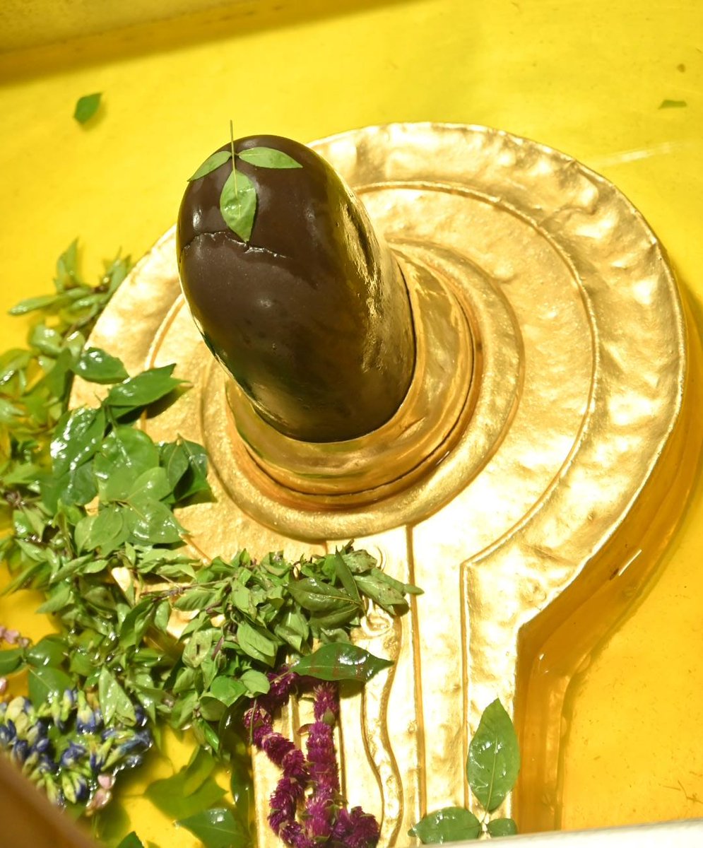 चंदन सिंह tweet media