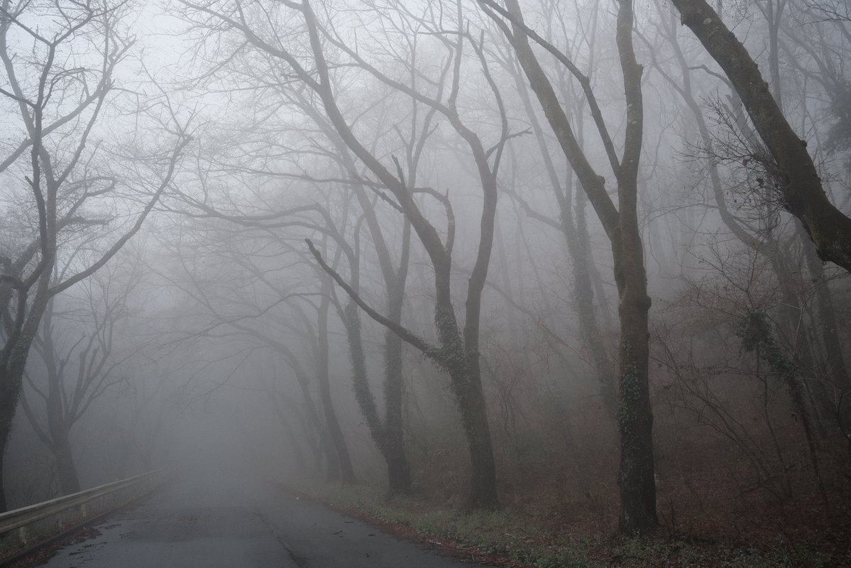 alcinist tweet media