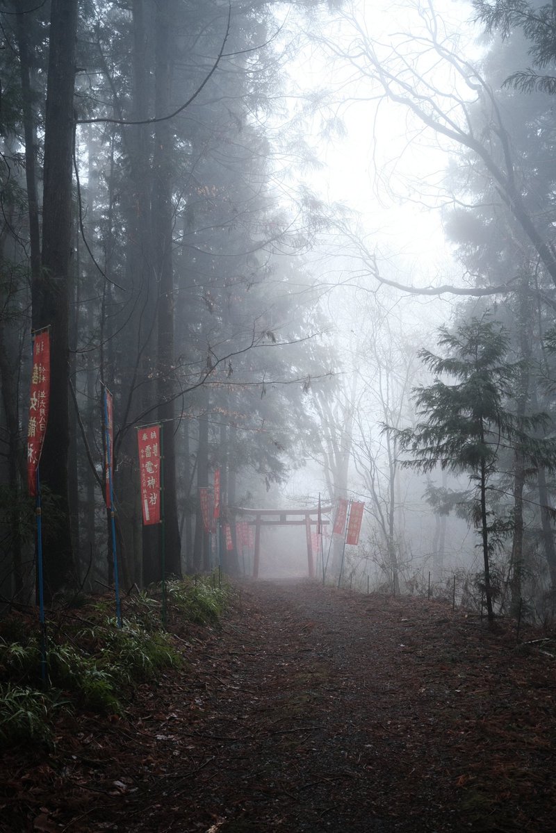 alcinist tweet media