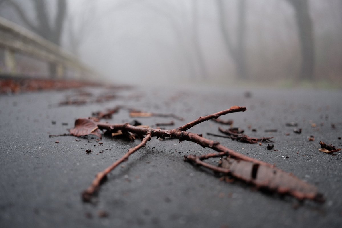 alcinist tweet media