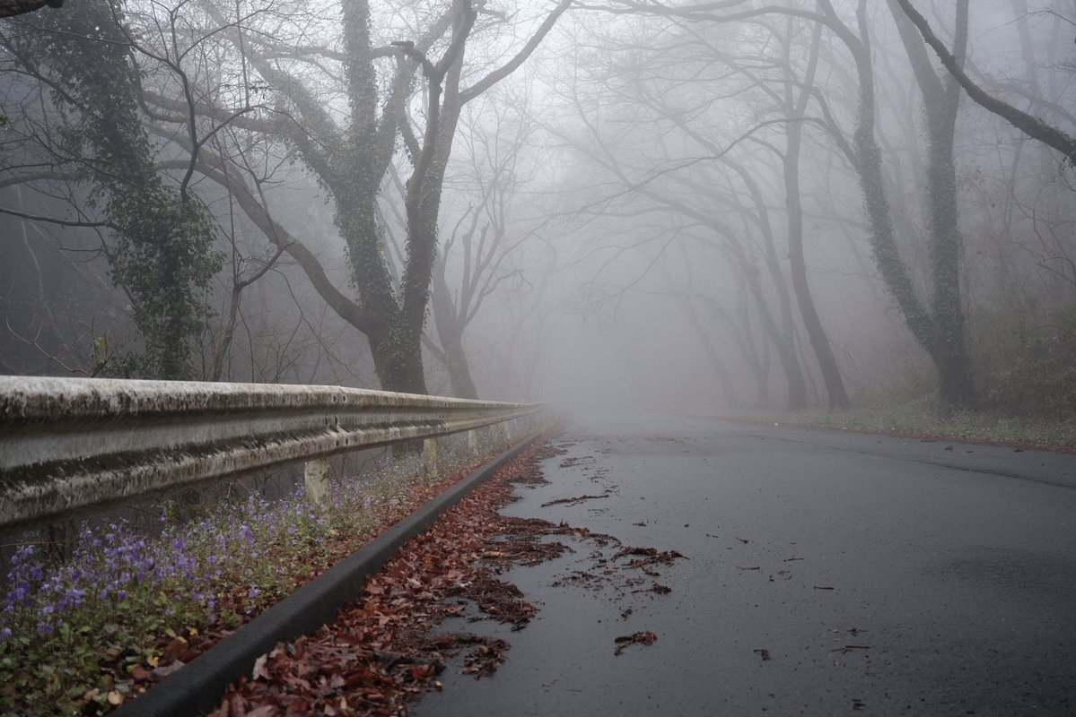 alcinist tweet media