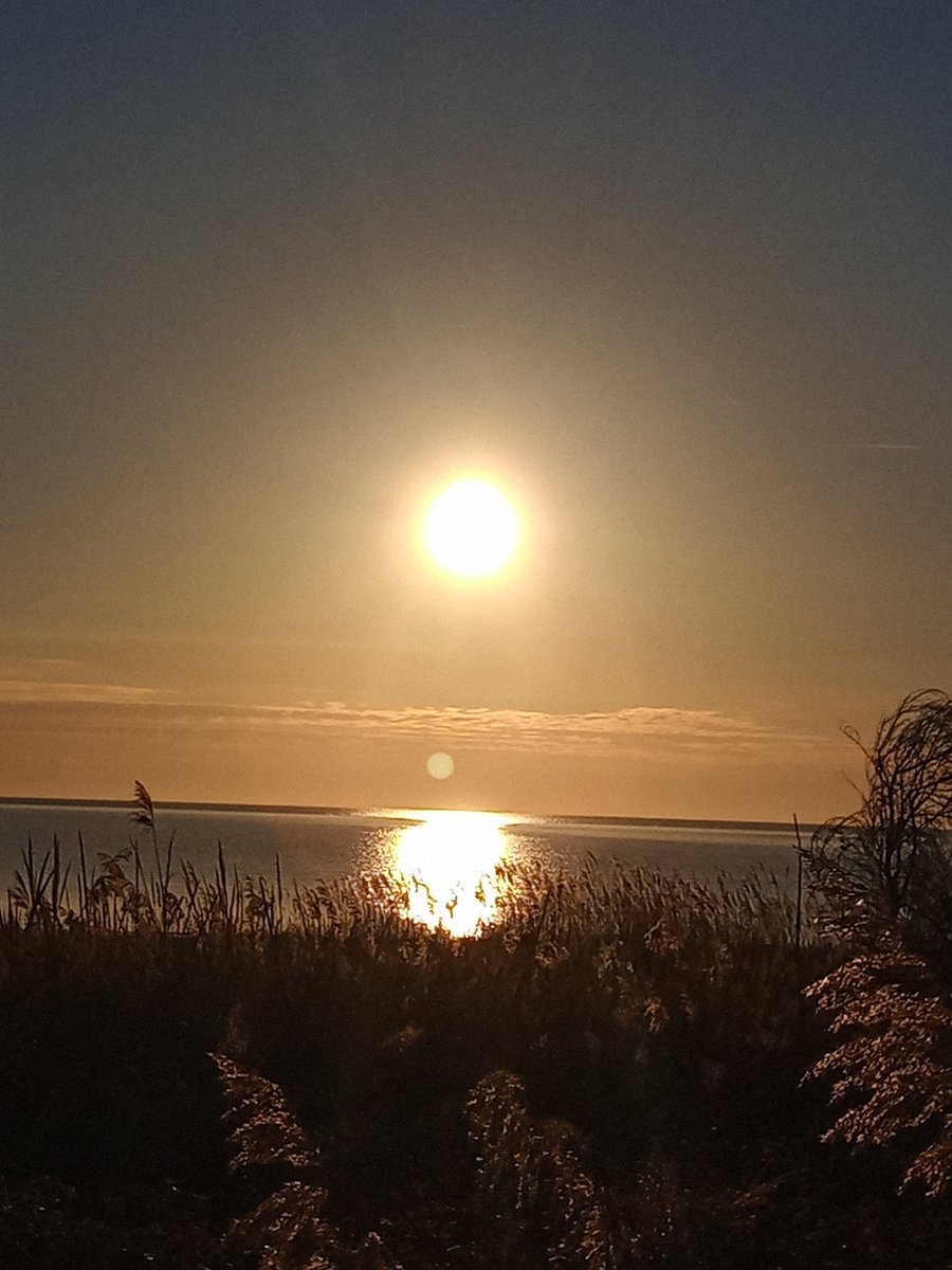 Antonio Dir Tecno tweet media