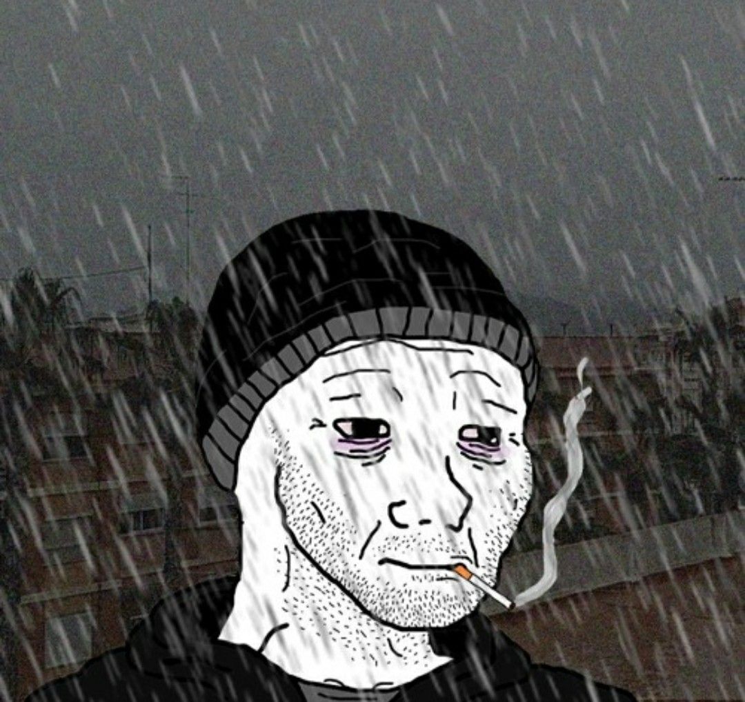 La gata con género tweet media