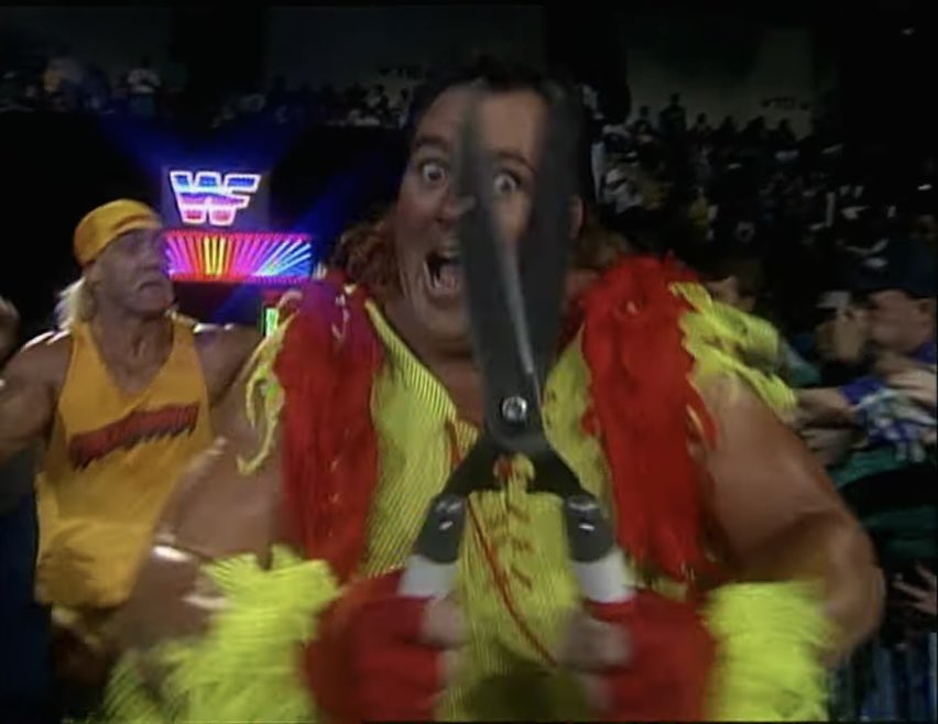 Lee Herbert tweet media