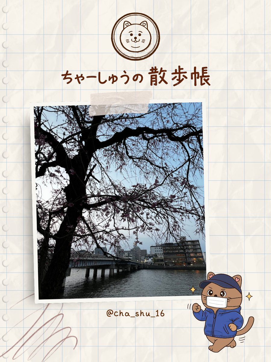 ちゃーしゅう🍖ひとり新聞部 tweet media