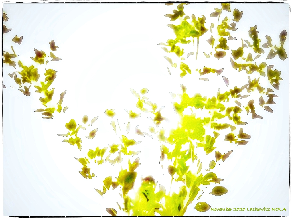 Ray Laskowitz tweet media