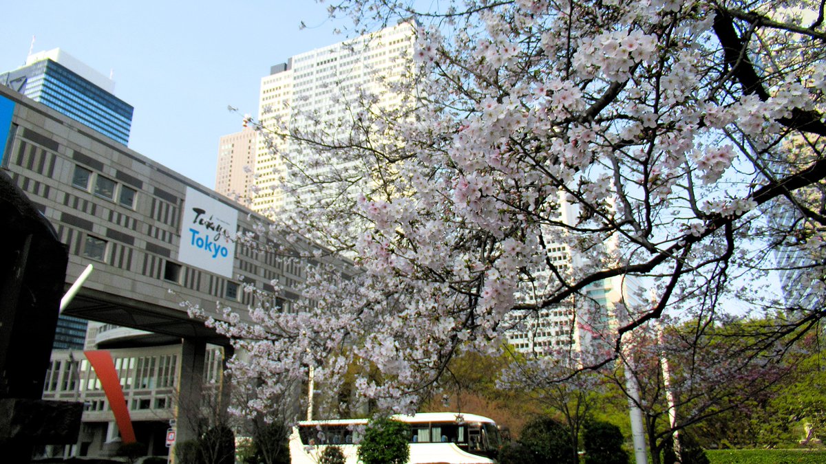 Tokyonobo tweet media