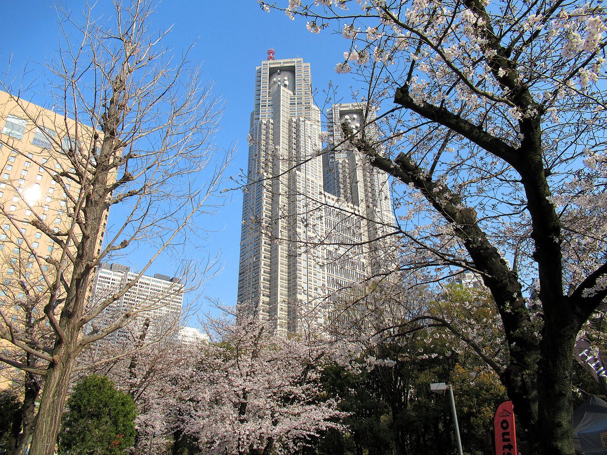 Tokyonobo tweet media