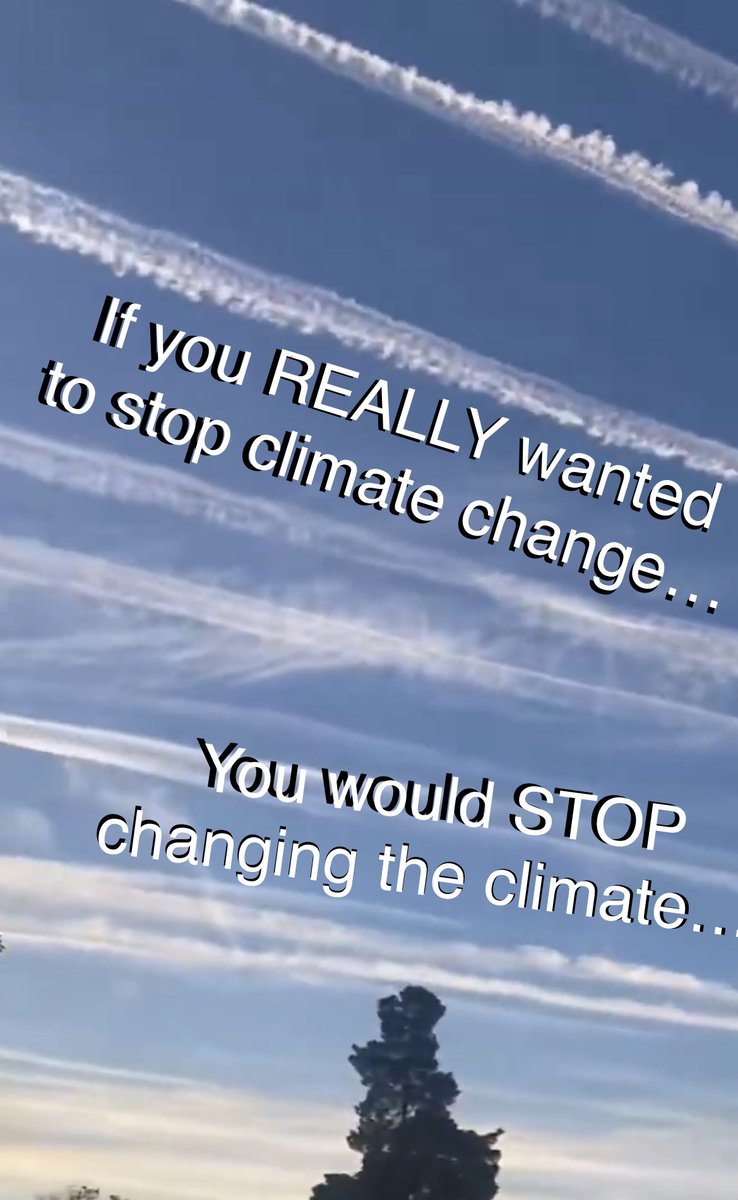 Camp of Saints Rev 20.9 tweet media