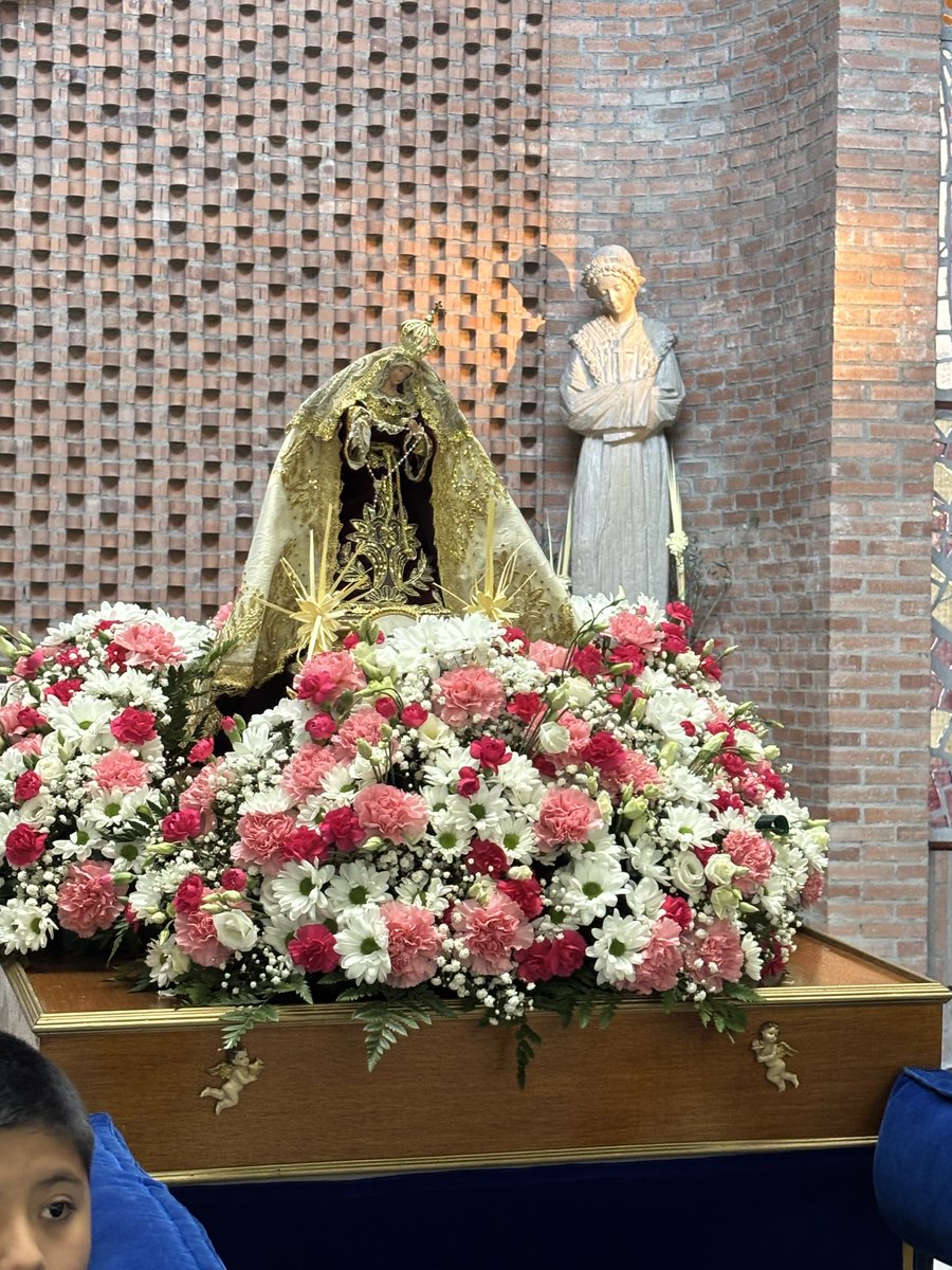 Pedro Moreno Gómez. 💚🇪🇸 tweet media