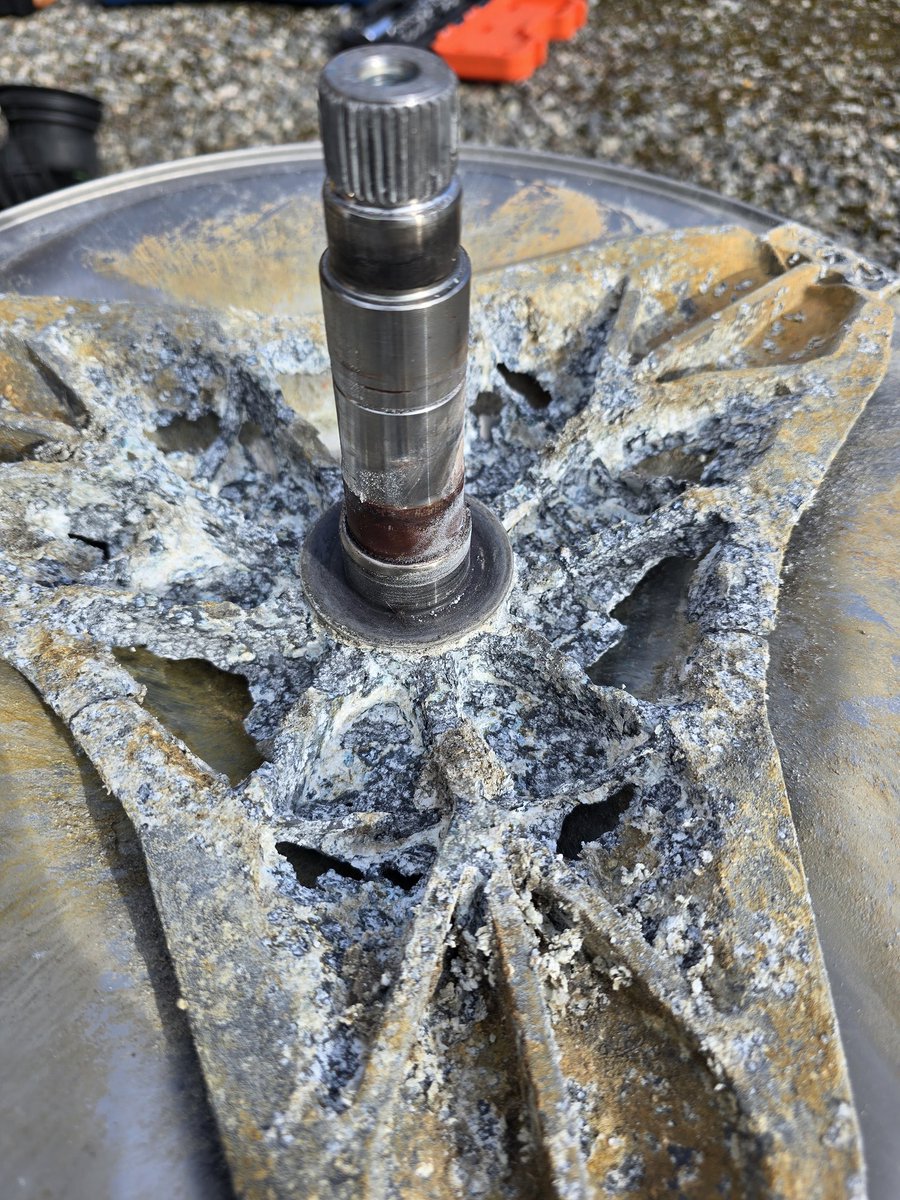 Thor V¡kingfella 🇳🇴🇺🇦🦈🦁 tweet media