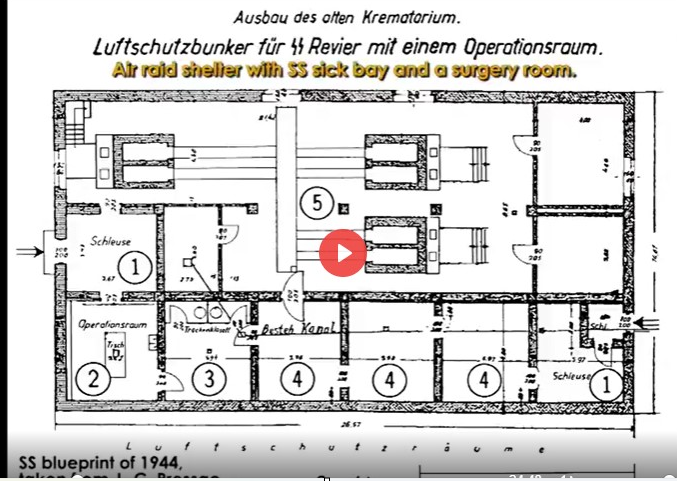 Beatrix Rode tweet media