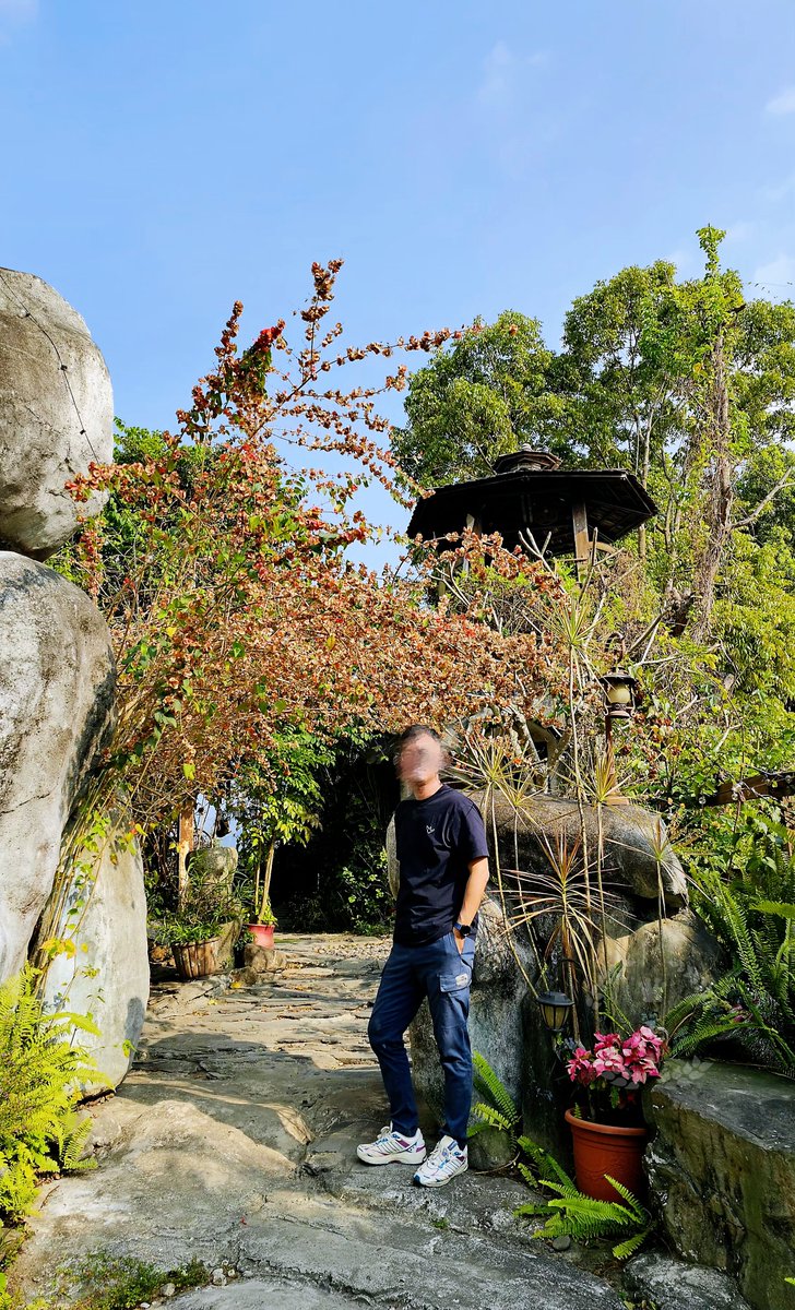 毛怪大叔🐶 tweet media