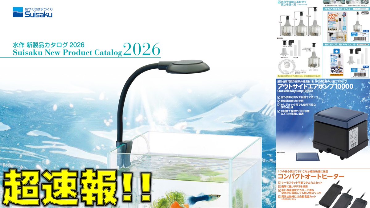 ふぶきテトラ(Fubuki Tetra) tweet media