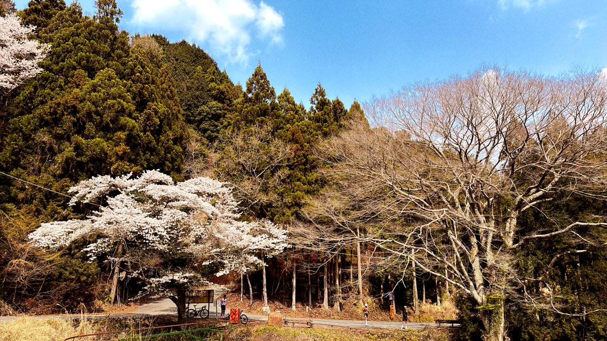 なかせ🐖 tweet media