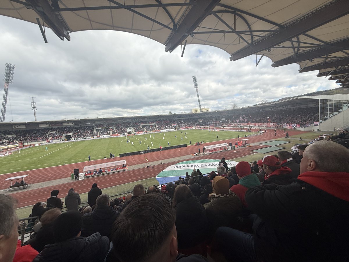 bjoern borkenkaefer tweet media