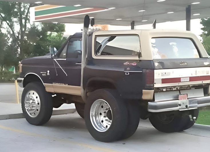 RobotPete of Selwyn! tweet media