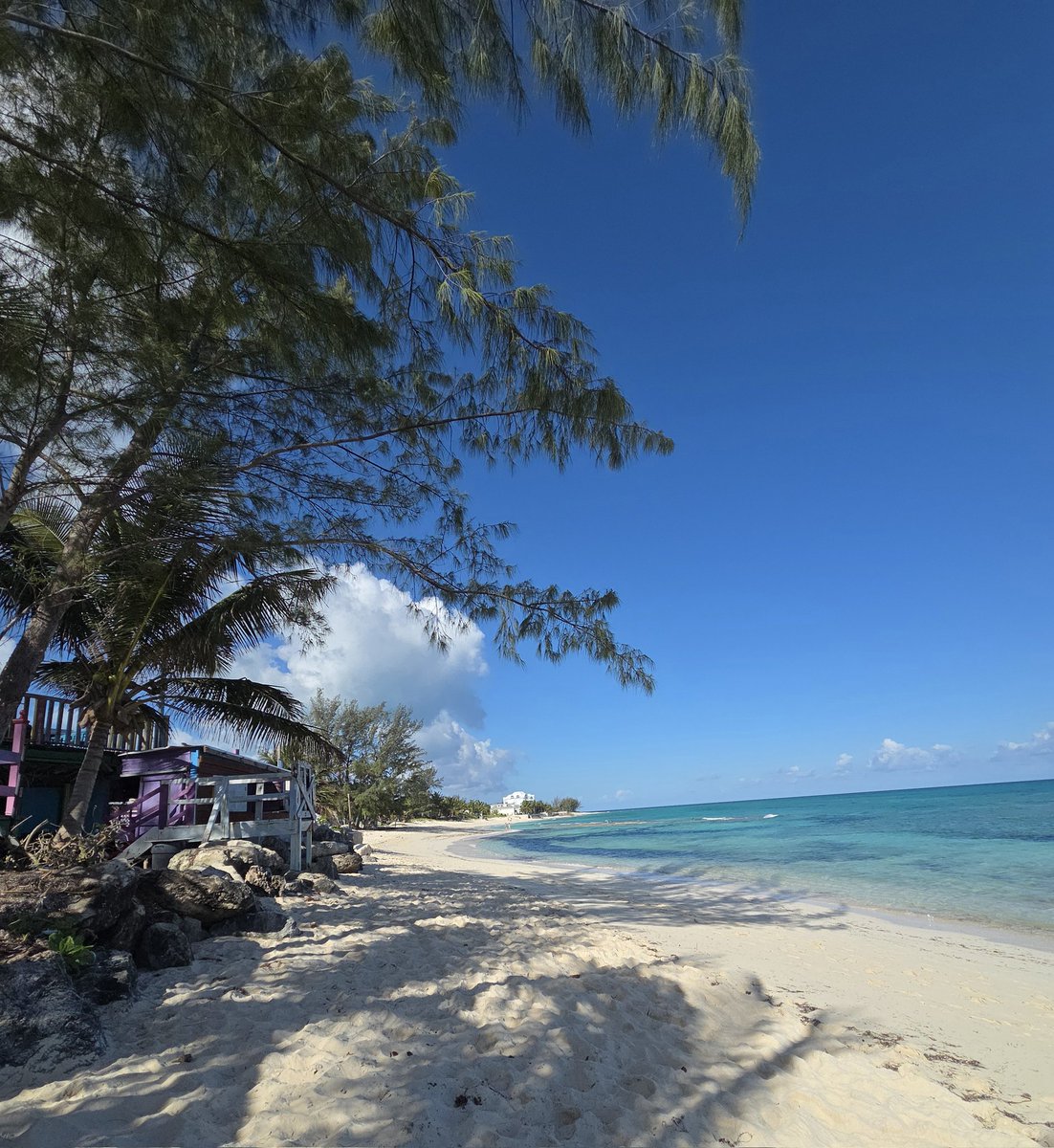 Beverly🐊🧡💙 tweet media