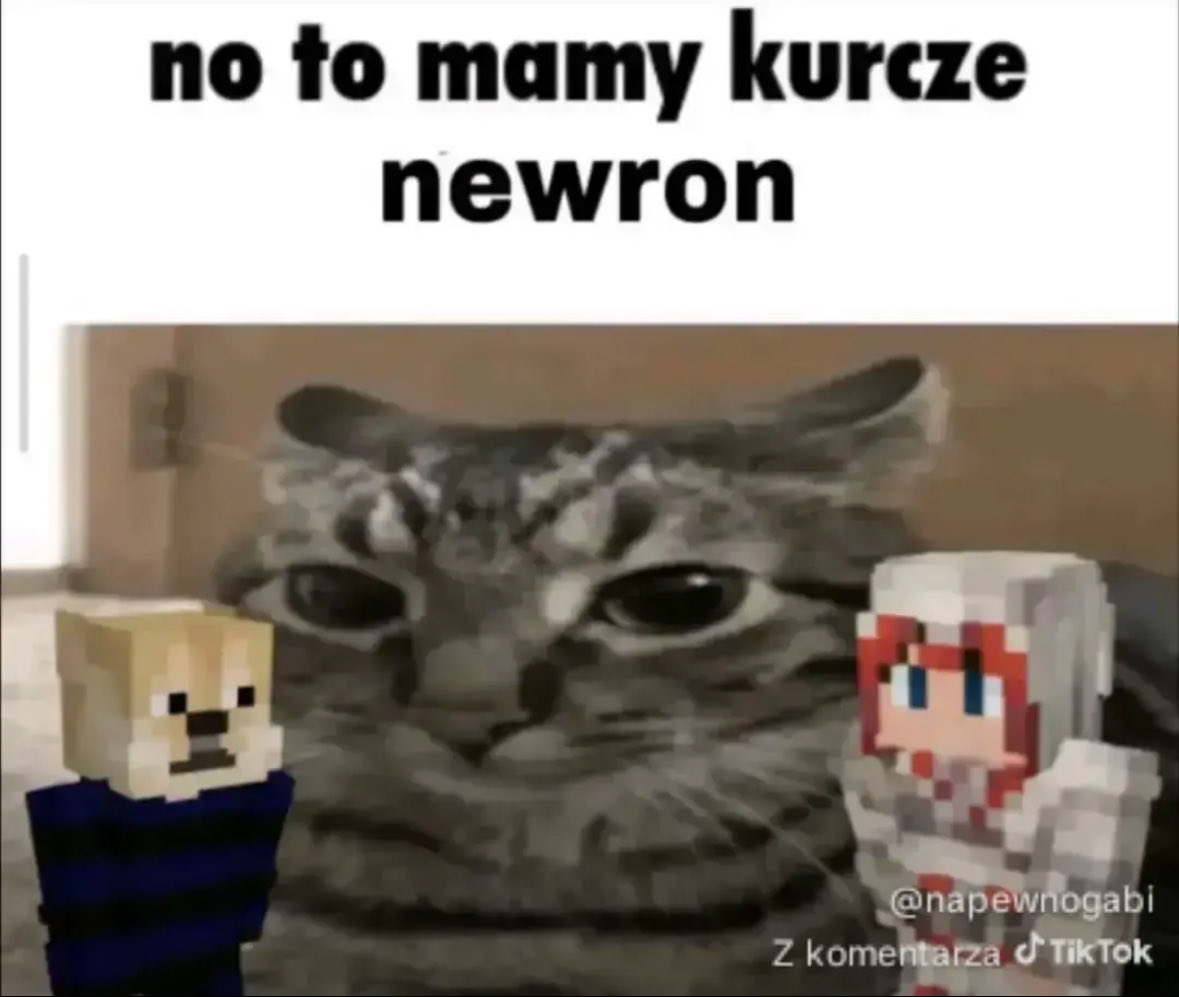 𝐁𝐚𝐬𝐢𝐮𝐫 | 𝐐𝐒𝐌𝐏 𝐞𝐫𝐚🤍 tweet media