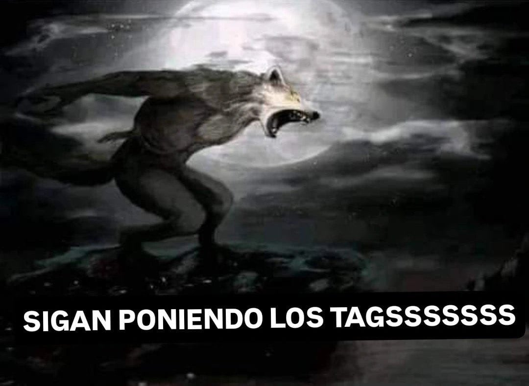 wonie ᥫ᭡.ִֶָ𓂃 ENHYPEN IS 7 tweet media