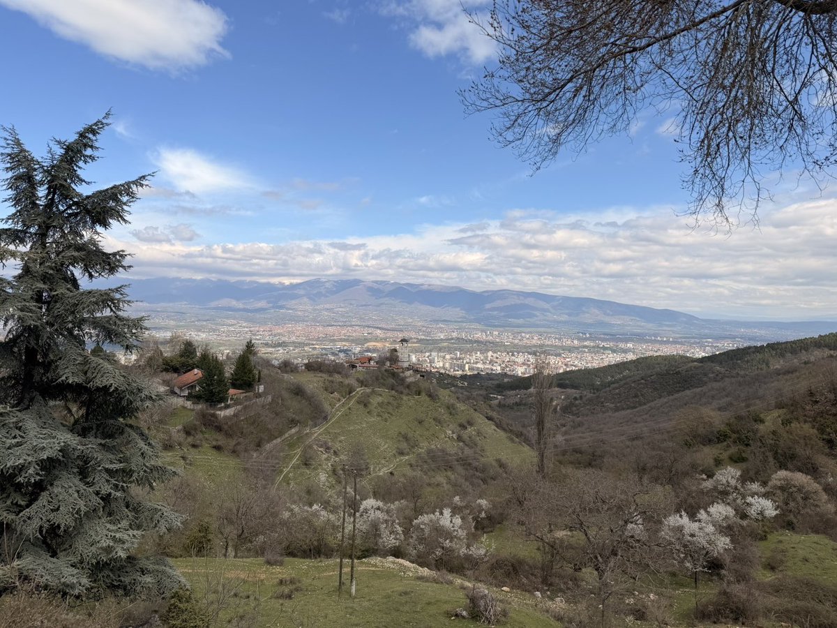 Callum Boyle tweet media